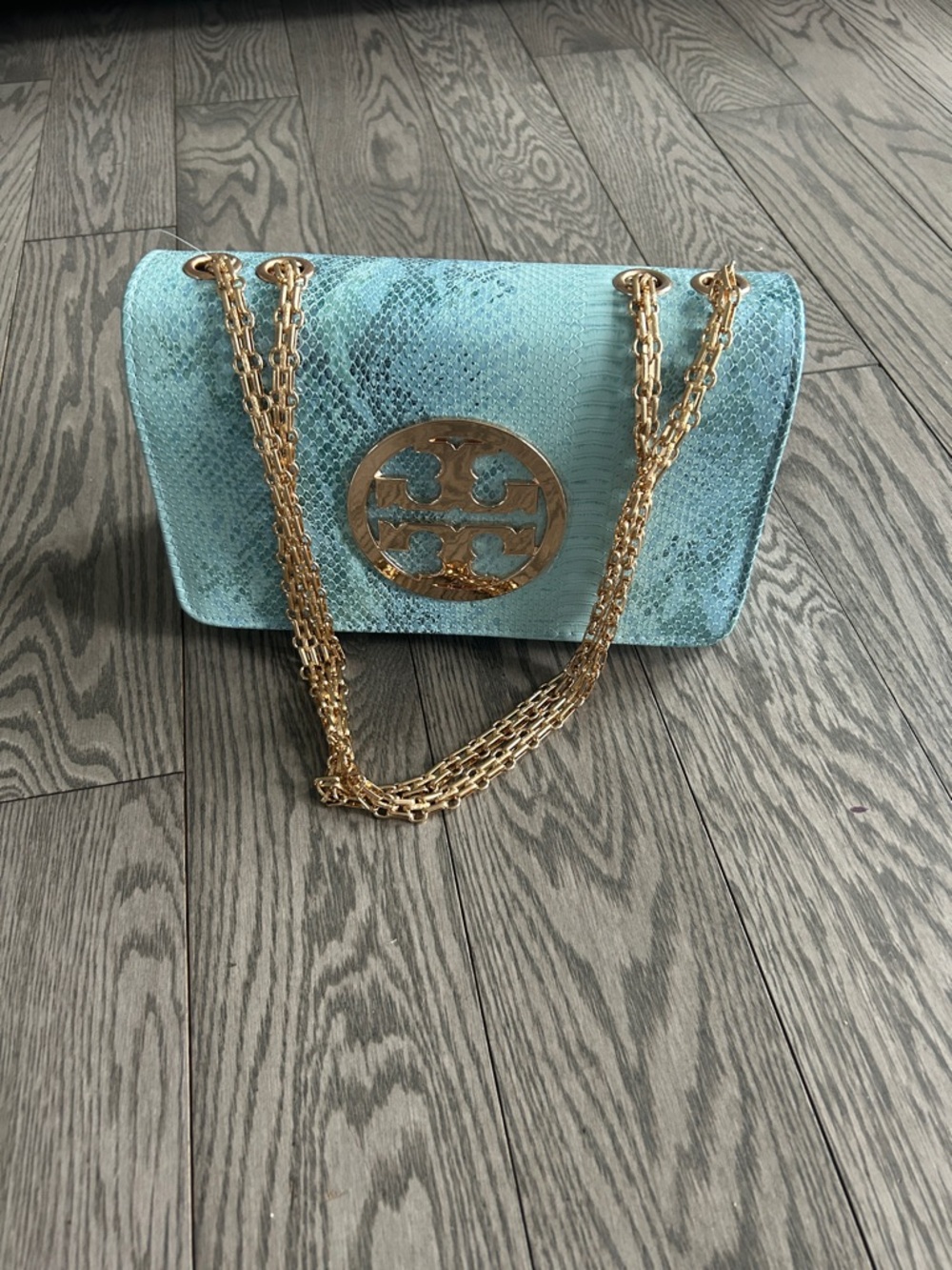 Teal Snake-Embossed Chain Shoulder Bag with Gold Logo fashion inspired